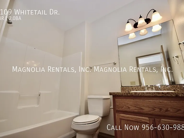 3109 Whitetail Dr — Photo 11