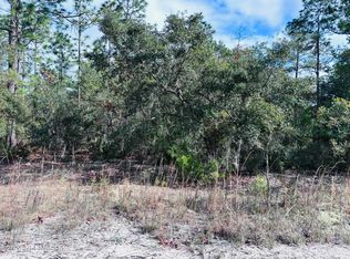 418 Rustic Rd, Satsuma, FL 32189