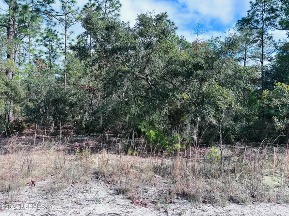 418 RUSTIC Road, Satsuma, FL 32189