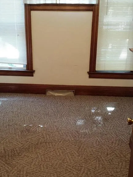 904 Vine St — Photo 3