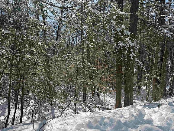 3rd image of 224 Valley Road