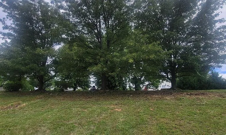 516 Lighthouse Rd — Photo 9