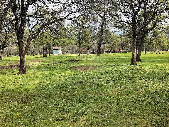 pasture