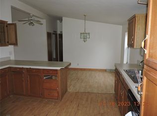 115 Dolak St, Westville, IL 61883