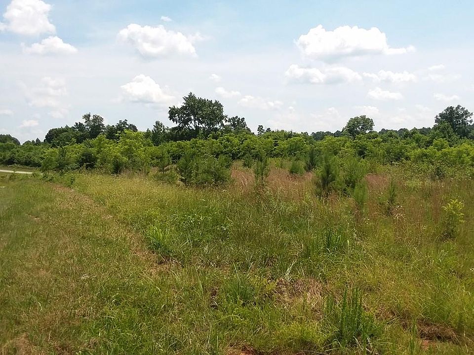 2nd image of 586 Gammon Lake Rd