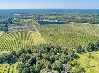 205 Ricamar Rd, Pierson, FL 32180