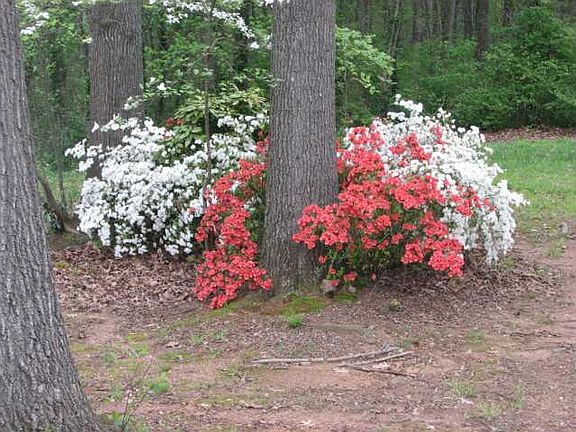 5th image of 2012 Hickory Hill Dr