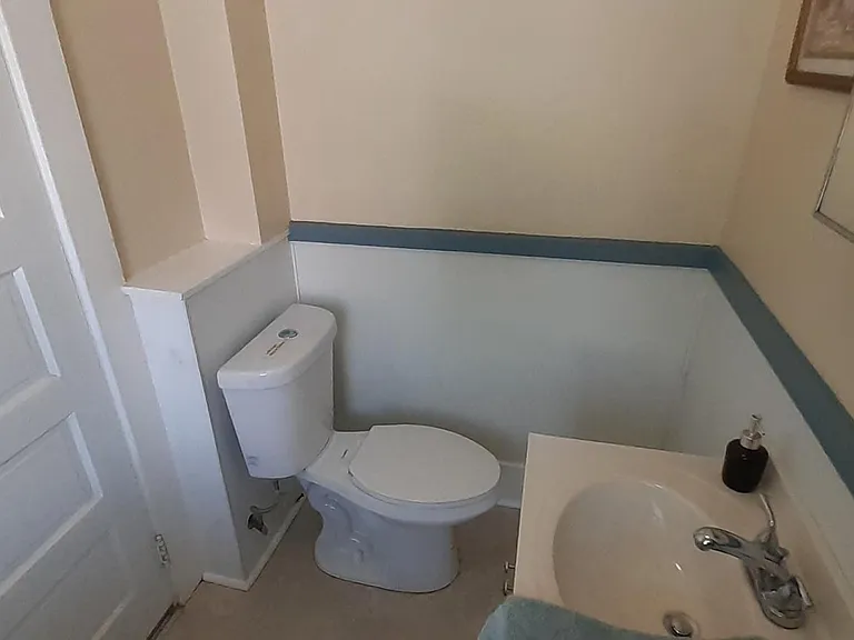13A Holt St — Photo 10
