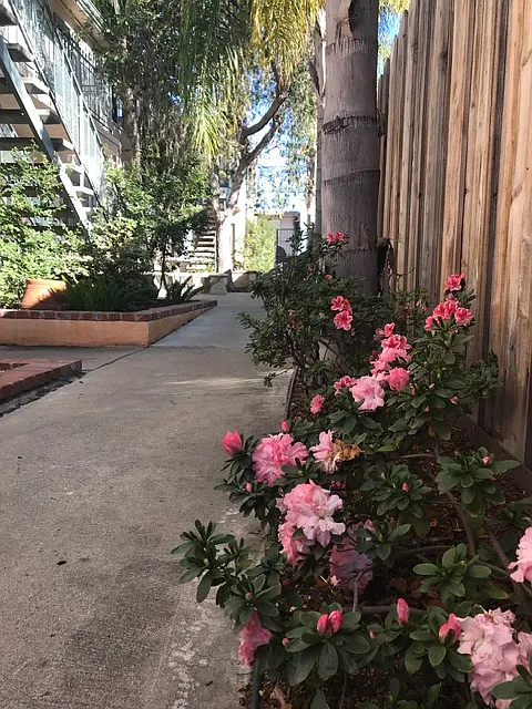 2 bed, 750 sqft, $2,500 — Photo 2