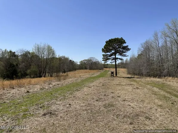 5831 Hopewell Rd, Lexington, MS 39095