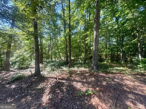 0 Teel Mountain Dr, Cleveland, GA 30528