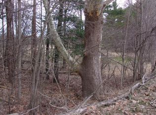 1043 Woodland Rd, Woodland, MI 48897