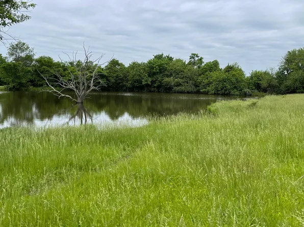 Highway F, Stotts City, MO 65756