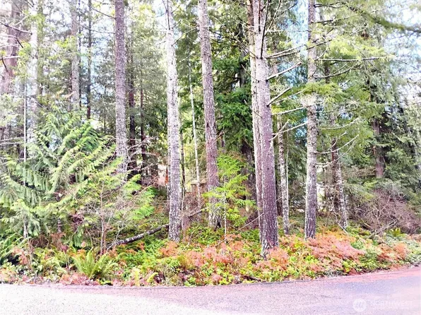 78 Fir Park Lane, Packwood, WA 98361