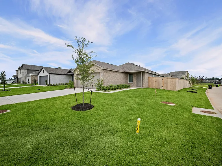 702 Umbrella Tree Dr — Photo 3