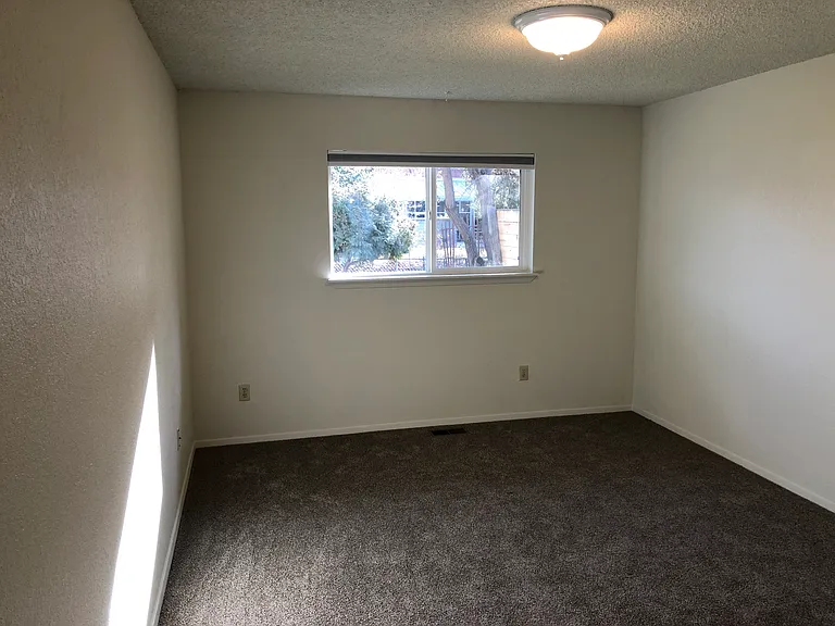 E Amanita St — Photo 30