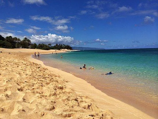 66-351 Haleiwa Rd — Photo 20