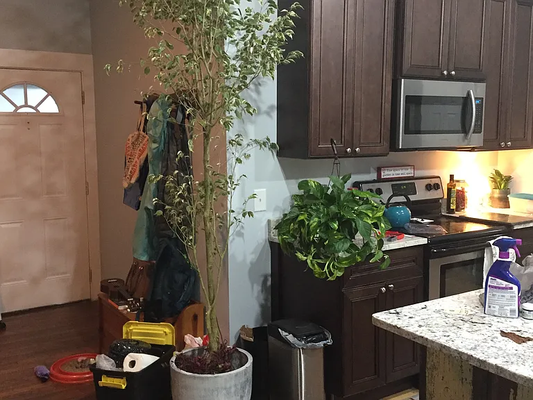 189 Will Hunter Rd #A — Photo 3