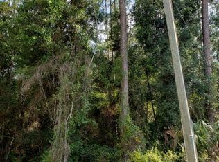 4108 E Fort Apache Pl, Dunnellon, FL 34434