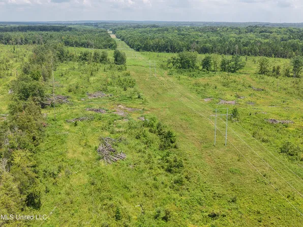 1 Reed Rd, Starkville, MS 39759