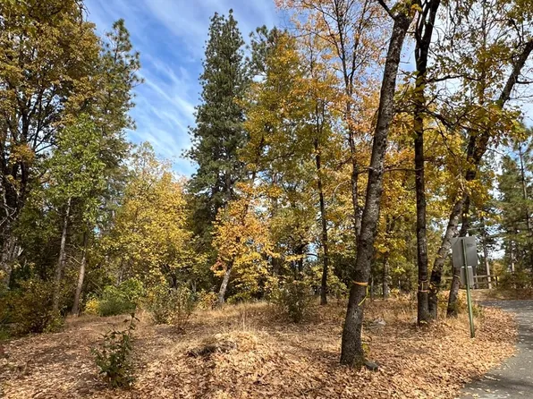 54692 Blue Gill #441, Bass Lake, CA 93604