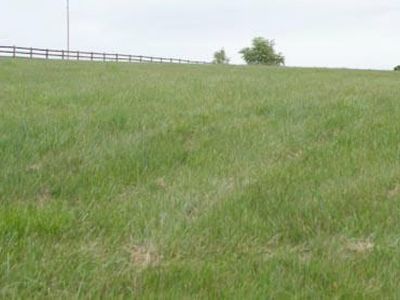 Ridge Rd, Timberville, VA, 22853