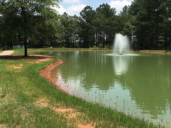 Pond that backs the lot@Left