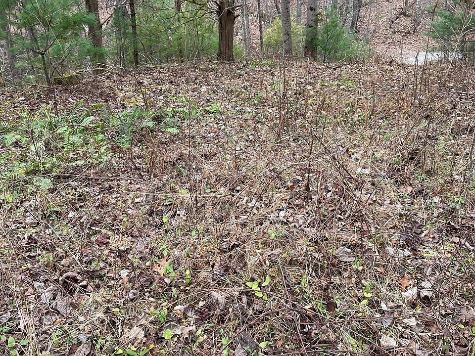 0 Bethlehem Rd 0, Boones Mill, VA 24065 Zillow