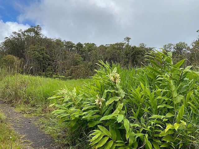 1st image of Road 6 Lot 306