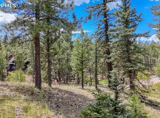 18 Falcon Cir, Florissant, CO 80816