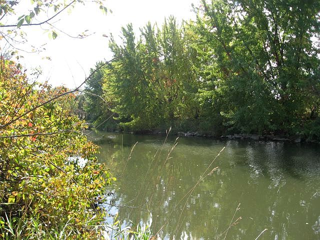 Starkweather creek is next to the house!