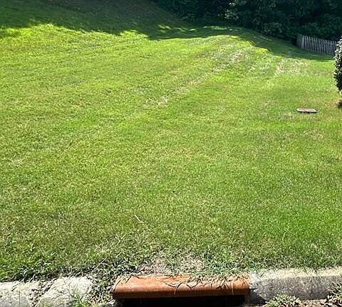 4th image of 481 Laurel Ridge Ln