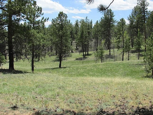 1st image of Tbd County Road 51