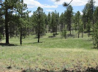 Tbd County Road 51, Florissant, CO 80816