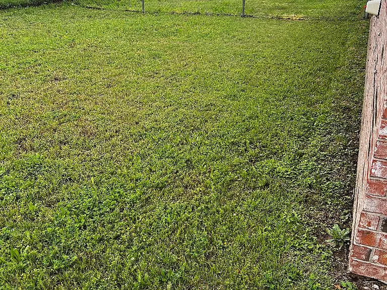 VIEW OF BACKYARD