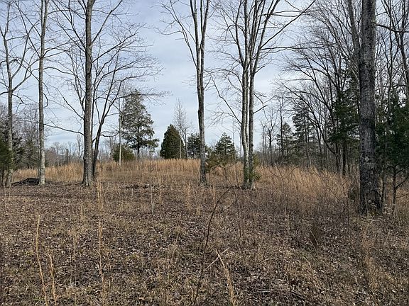 4th image of 0 York Hwy Lot 7