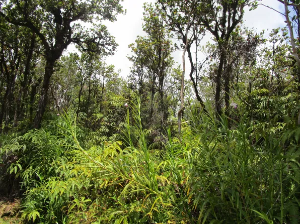Punahele St Lot 48, Mountain View, HI 96771