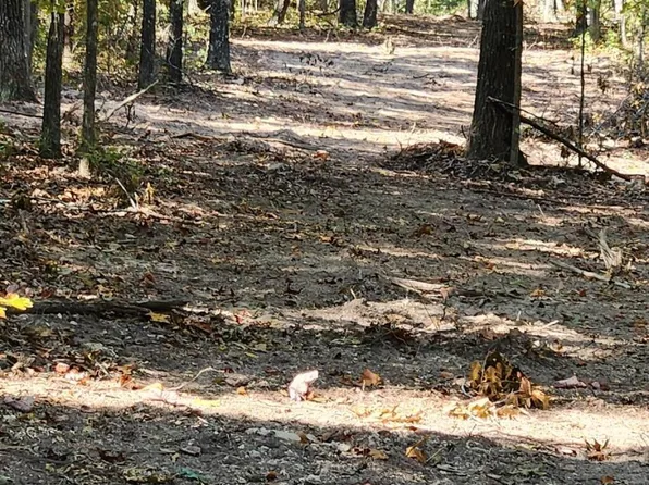 12879 State Hwy O Highway W, Ava, MO 65608