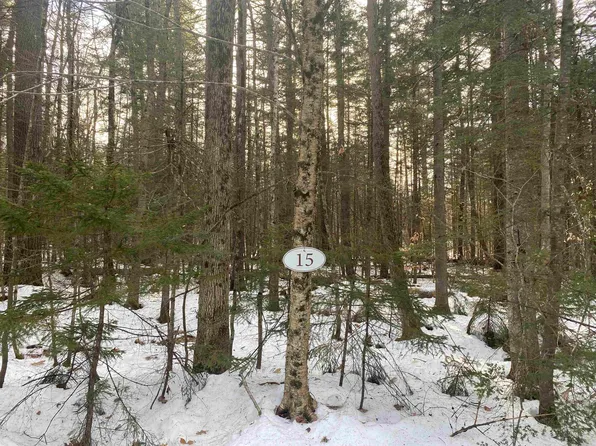 15 Oak Lane, Grantham, NH 03753