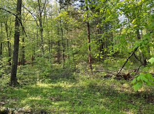 LOT 4 Womack Hollow Rd, Ten Mile, TN 37880