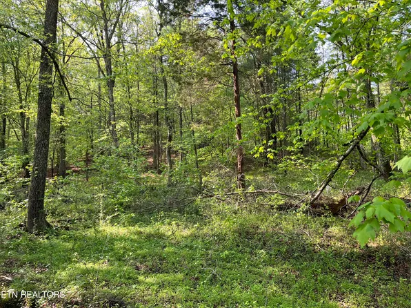 LOT 3 Womack Hollow Rd, Ten Mile, TN 37880