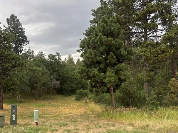 1455 Blueberry Hills Rd, Monument, CO 80132