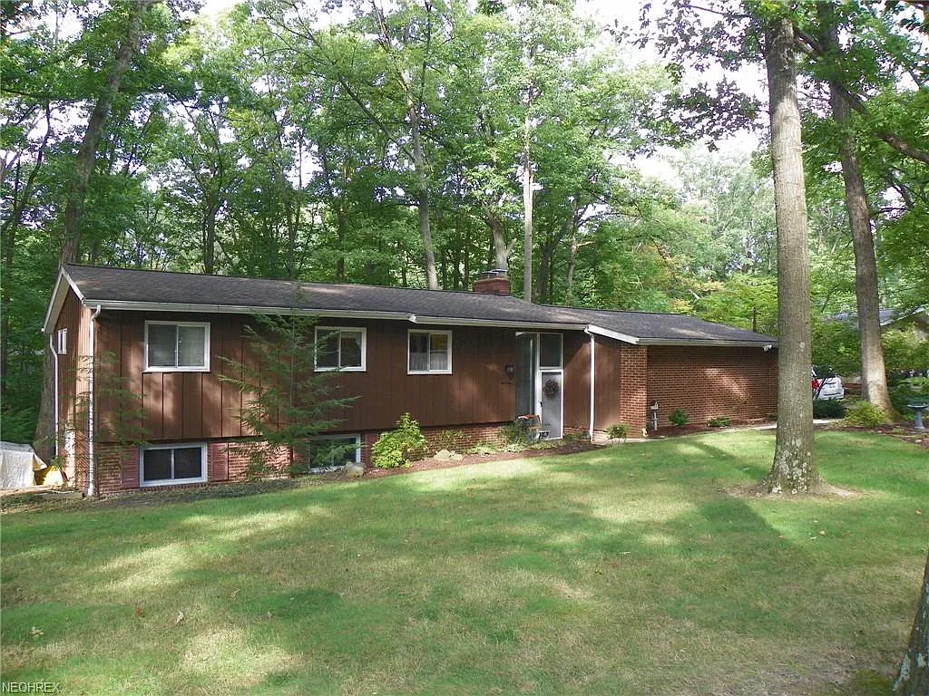 10484 Jerry Coe Ln photo 1