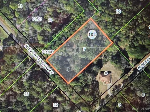 9145 N Evenstock Way, Crystal River, FL 34428