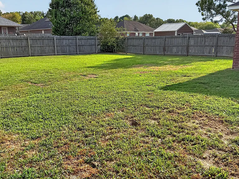 Fully fenced backyard