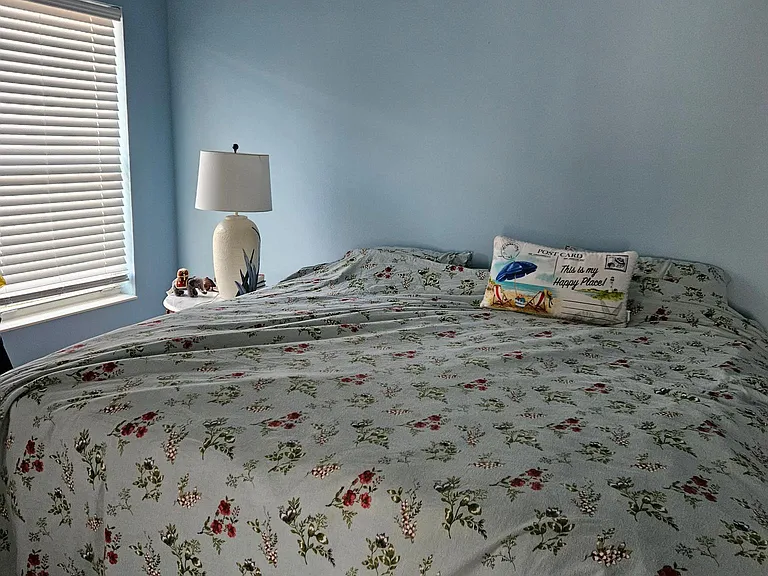 115 Barrier Isle Dr — Photo 7
