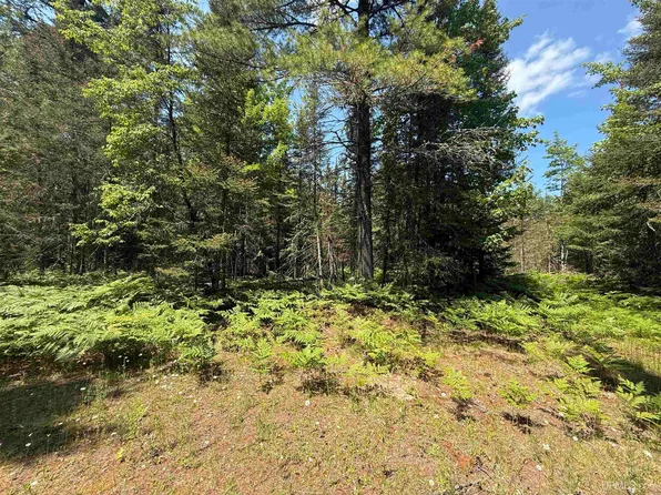 Tall Timber Trl Unit 20, Lake Linden, MI 49945