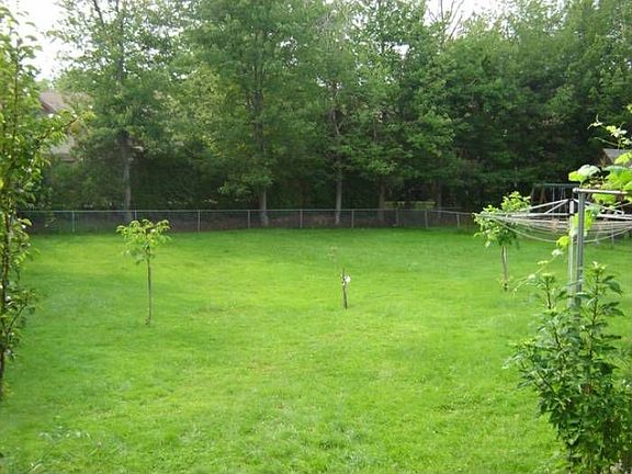 Back yard