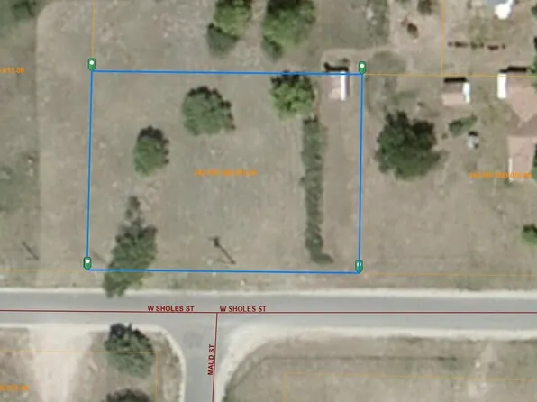 W Sholes St, Wolverine, MI 49799