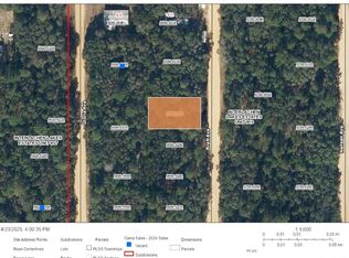 0 Brett Ave LOT 30, Interlachen, FL 32148